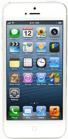 Смартфон Apple iPhone 5 64Gb White & Silver - Курск